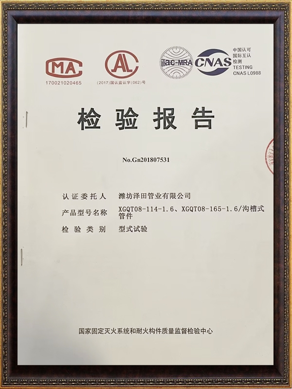檢驗報告