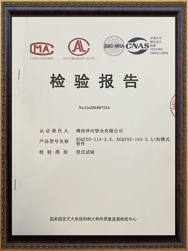 檢驗報告